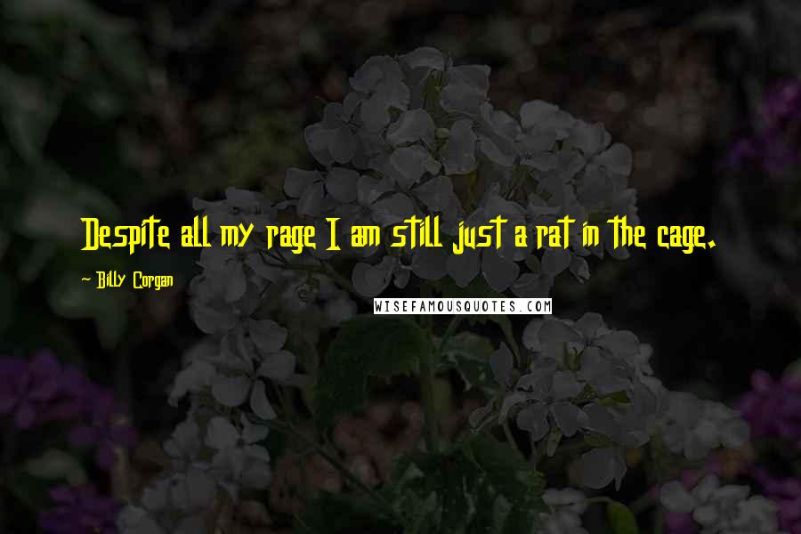 Billy Corgan Quotes: Despite all my rage I am still just a rat in the cage.