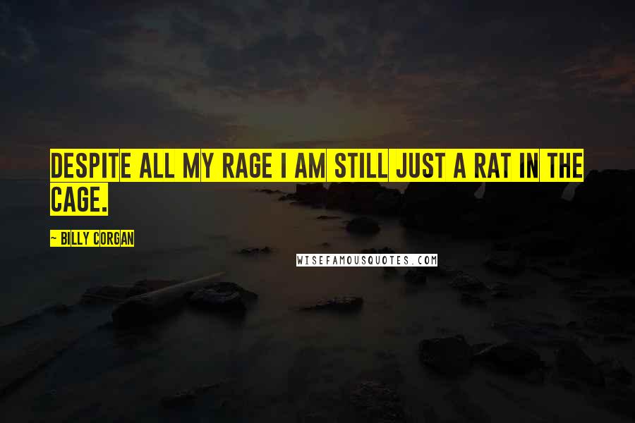 Billy Corgan Quotes: Despite all my rage I am still just a rat in the cage.