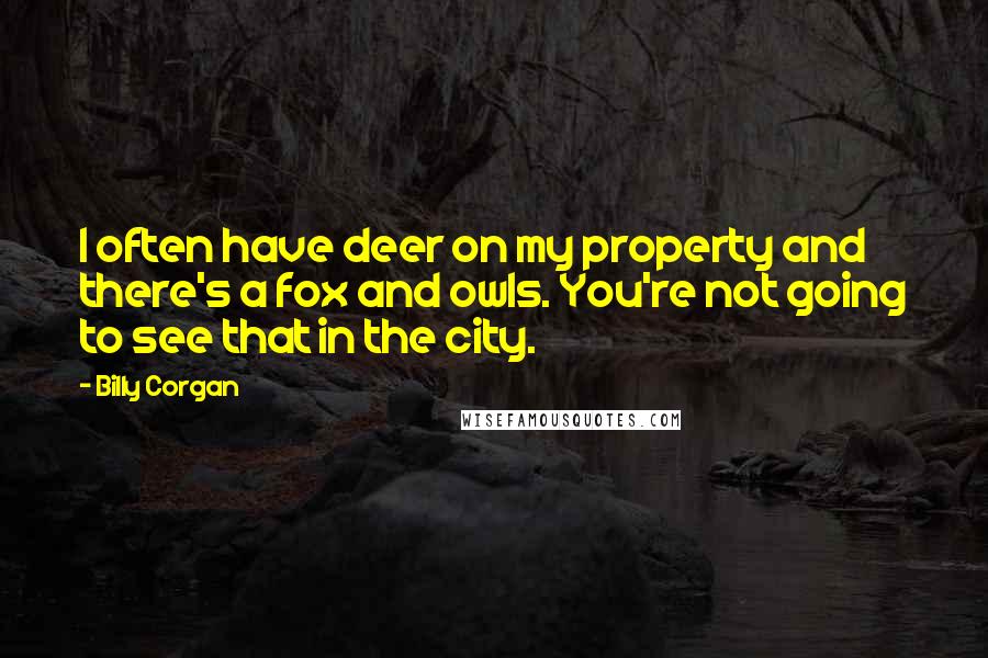 Billy Corgan Quotes: I often have deer on my property and there's a fox and owls. You're not going to see that in the city.