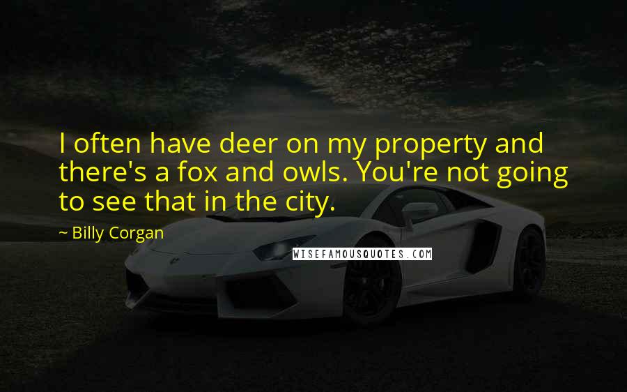 Billy Corgan Quotes: I often have deer on my property and there's a fox and owls. You're not going to see that in the city.