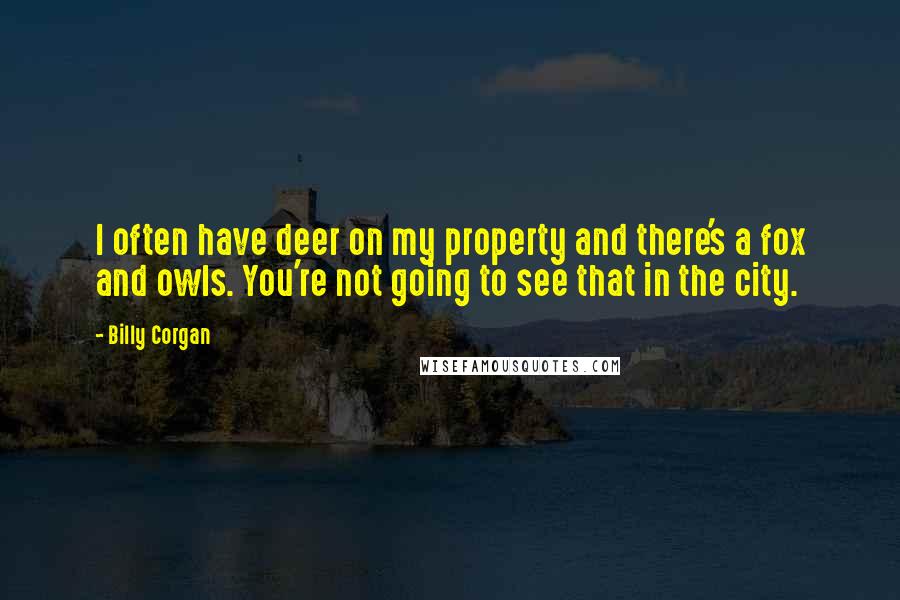 Billy Corgan Quotes: I often have deer on my property and there's a fox and owls. You're not going to see that in the city.
