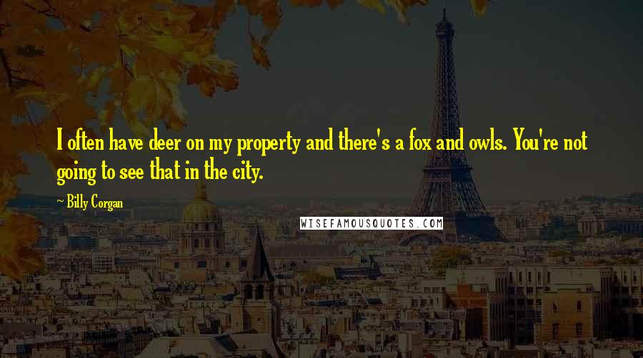 Billy Corgan Quotes: I often have deer on my property and there's a fox and owls. You're not going to see that in the city.