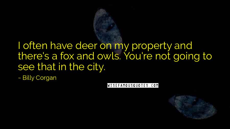 Billy Corgan Quotes: I often have deer on my property and there's a fox and owls. You're not going to see that in the city.