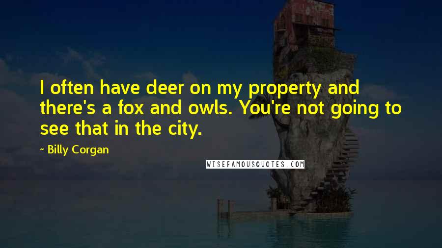Billy Corgan Quotes: I often have deer on my property and there's a fox and owls. You're not going to see that in the city.