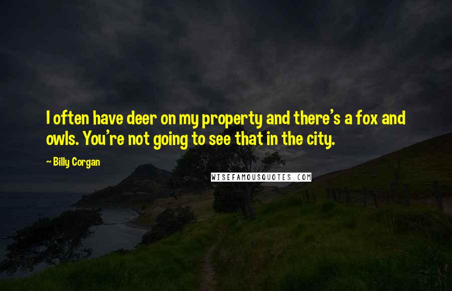 Billy Corgan Quotes: I often have deer on my property and there's a fox and owls. You're not going to see that in the city.