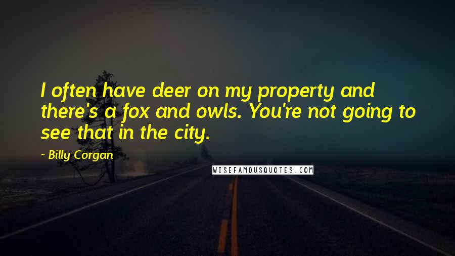 Billy Corgan Quotes: I often have deer on my property and there's a fox and owls. You're not going to see that in the city.