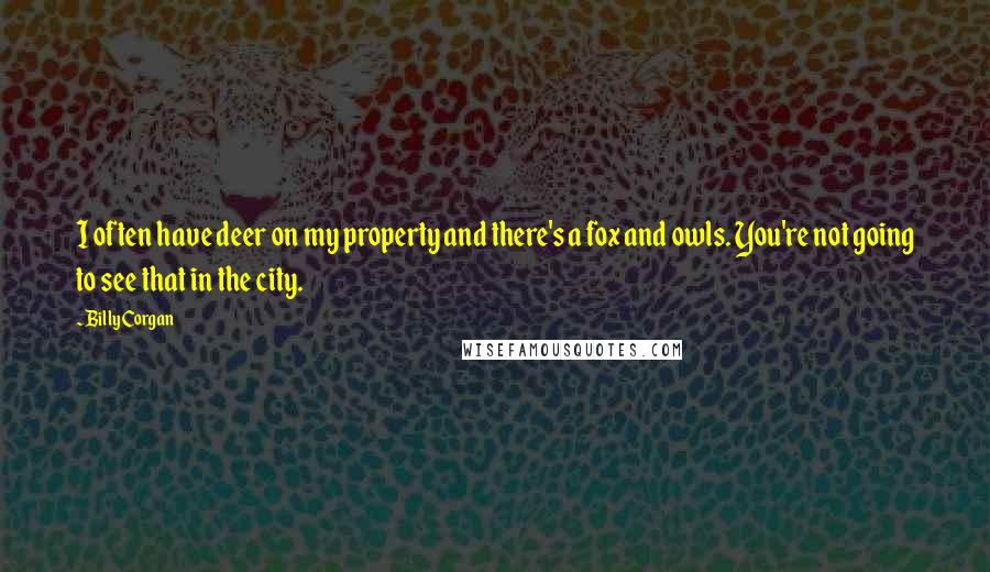 Billy Corgan Quotes: I often have deer on my property and there's a fox and owls. You're not going to see that in the city.