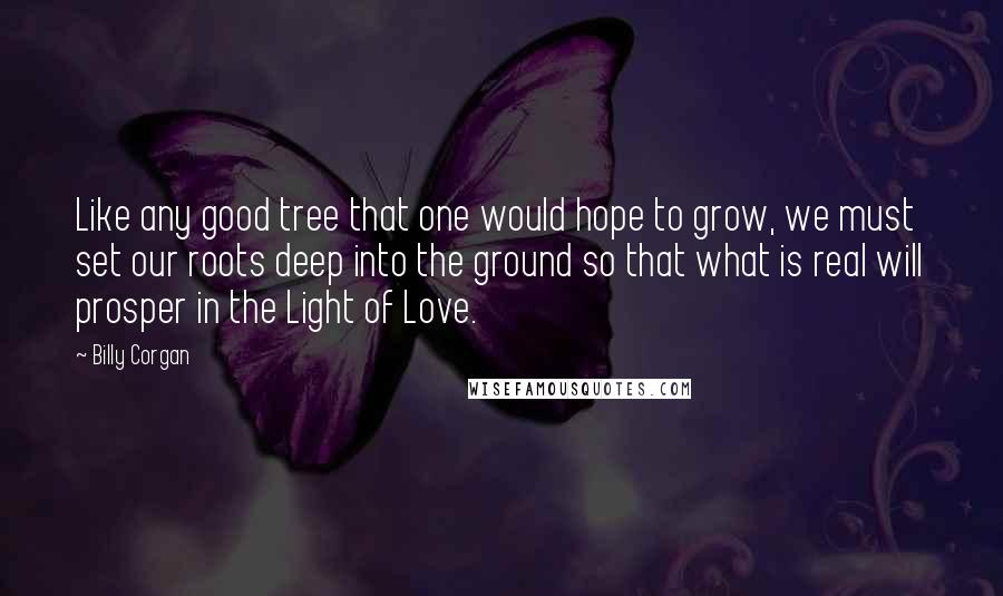 Billy Corgan Quotes: Like any good tree that one would hope to grow, we must set our roots deep into the ground so that what is real will prosper in the Light of Love.