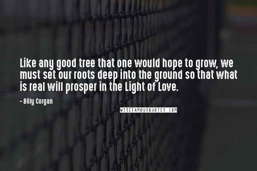 Billy Corgan Quotes: Like any good tree that one would hope to grow, we must set our roots deep into the ground so that what is real will prosper in the Light of Love.