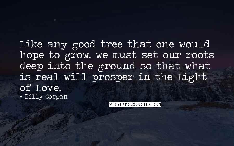 Billy Corgan Quotes: Like any good tree that one would hope to grow, we must set our roots deep into the ground so that what is real will prosper in the Light of Love.