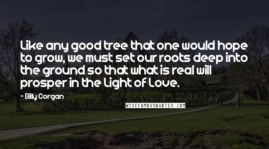 Billy Corgan Quotes: Like any good tree that one would hope to grow, we must set our roots deep into the ground so that what is real will prosper in the Light of Love.