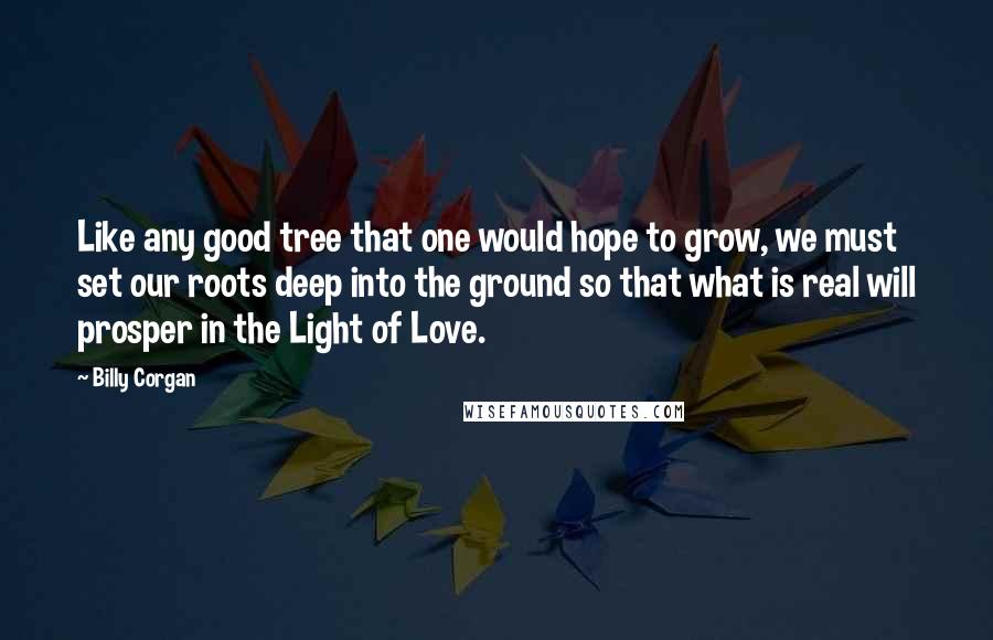 Billy Corgan Quotes: Like any good tree that one would hope to grow, we must set our roots deep into the ground so that what is real will prosper in the Light of Love.