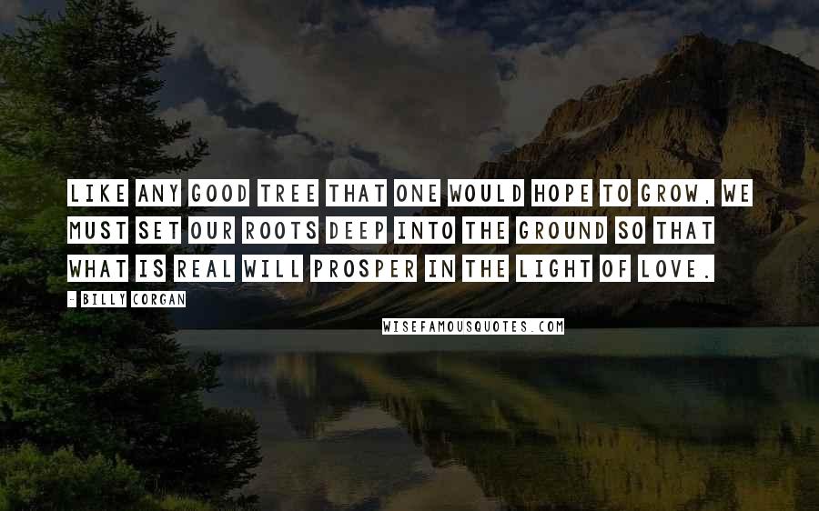 Billy Corgan Quotes: Like any good tree that one would hope to grow, we must set our roots deep into the ground so that what is real will prosper in the Light of Love.