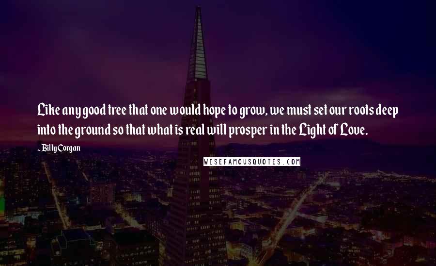 Billy Corgan Quotes: Like any good tree that one would hope to grow, we must set our roots deep into the ground so that what is real will prosper in the Light of Love.