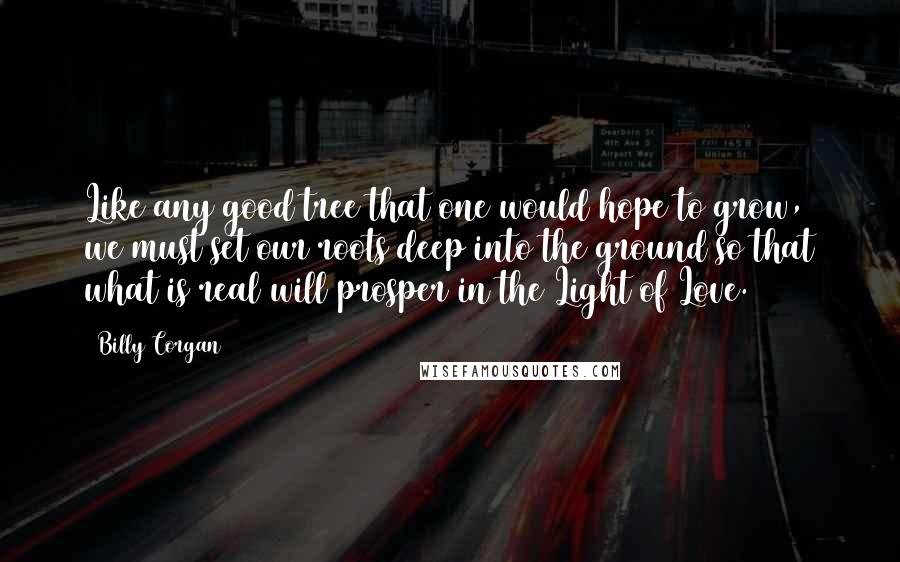 Billy Corgan Quotes: Like any good tree that one would hope to grow, we must set our roots deep into the ground so that what is real will prosper in the Light of Love.