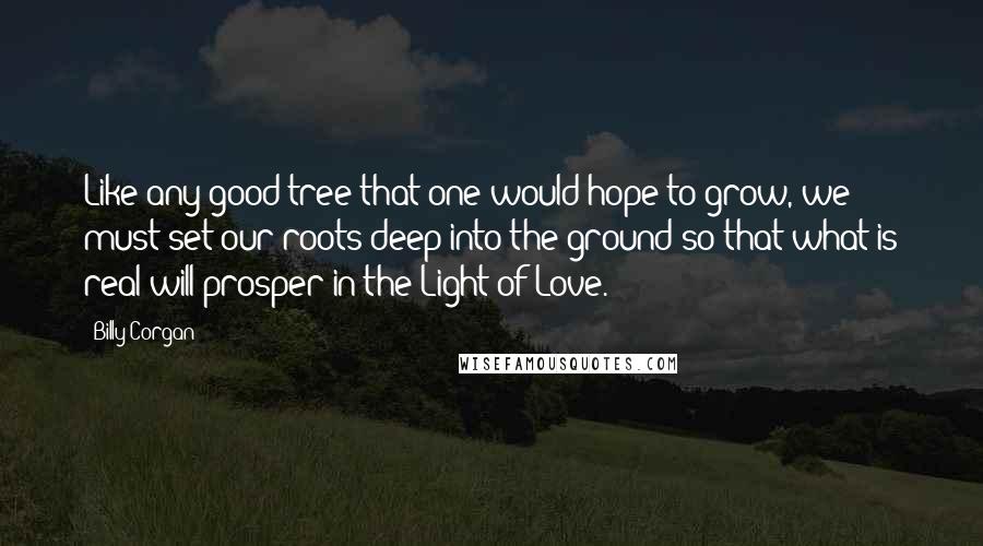 Billy Corgan Quotes: Like any good tree that one would hope to grow, we must set our roots deep into the ground so that what is real will prosper in the Light of Love.