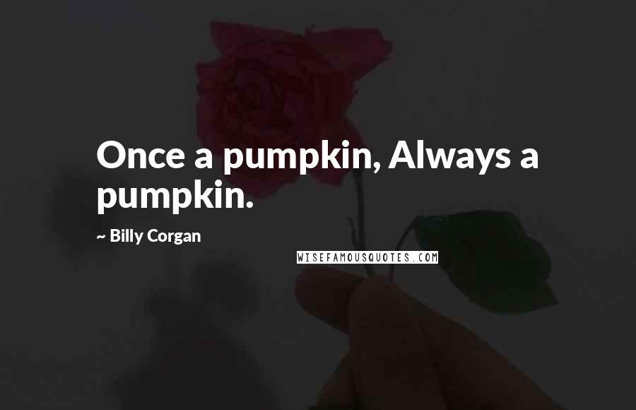 Billy Corgan Quotes: Once a pumpkin, Always a pumpkin.