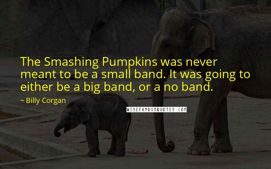 Billy Corgan Quotes: The Smashing Pumpkins was never meant to be a small band. It was going to either be a big band, or a no band.