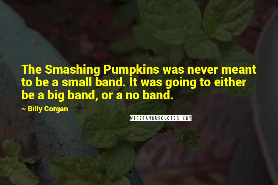 Billy Corgan Quotes: The Smashing Pumpkins was never meant to be a small band. It was going to either be a big band, or a no band.