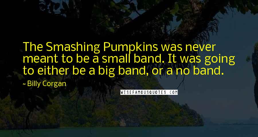 Billy Corgan Quotes: The Smashing Pumpkins was never meant to be a small band. It was going to either be a big band, or a no band.