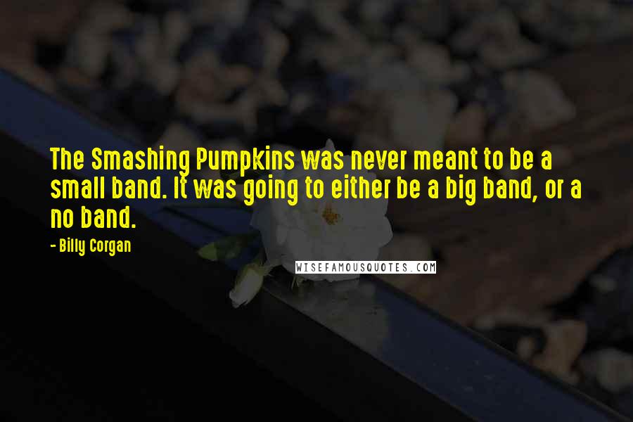 Billy Corgan Quotes: The Smashing Pumpkins was never meant to be a small band. It was going to either be a big band, or a no band.