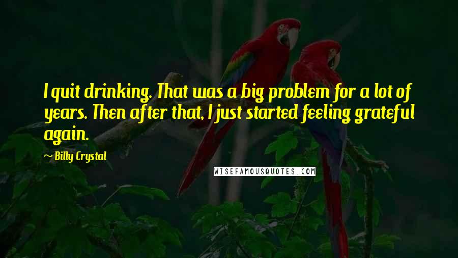 Billy Crystal Quotes: I quit drinking. That was a big problem for a lot of years. Then after that, I just started feeling grateful again.