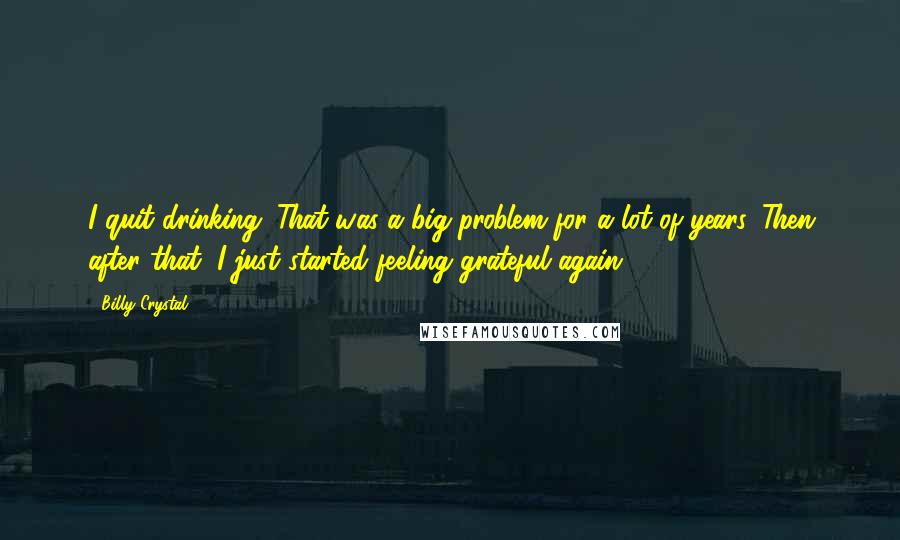 Billy Crystal Quotes: I quit drinking. That was a big problem for a lot of years. Then after that, I just started feeling grateful again.