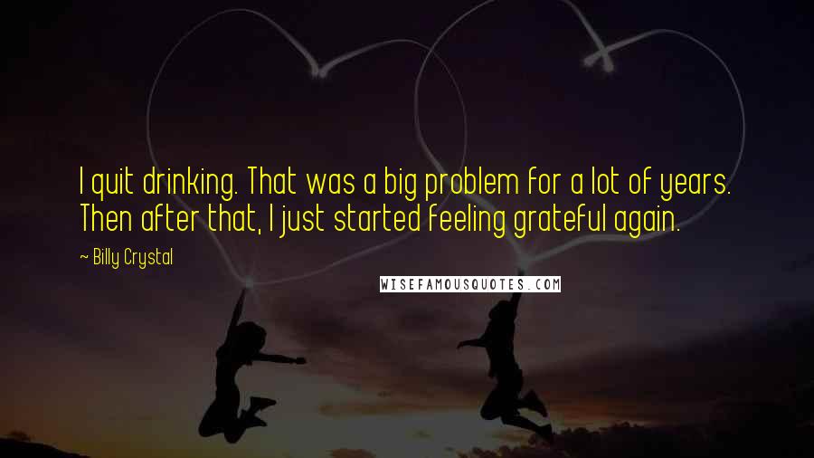 Billy Crystal Quotes: I quit drinking. That was a big problem for a lot of years. Then after that, I just started feeling grateful again.