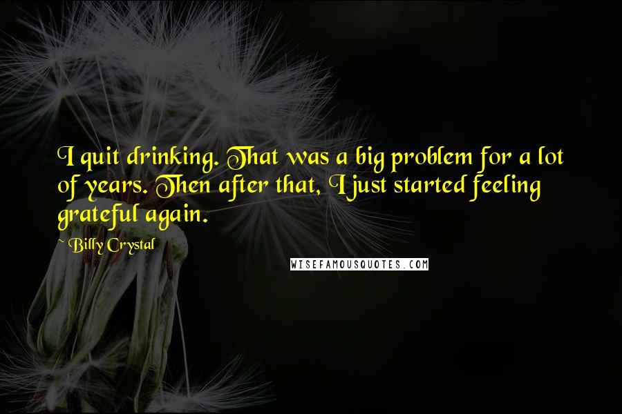 Billy Crystal Quotes: I quit drinking. That was a big problem for a lot of years. Then after that, I just started feeling grateful again.