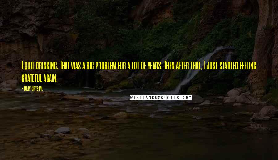 Billy Crystal Quotes: I quit drinking. That was a big problem for a lot of years. Then after that, I just started feeling grateful again.