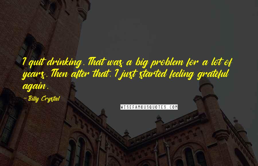 Billy Crystal Quotes: I quit drinking. That was a big problem for a lot of years. Then after that, I just started feeling grateful again.