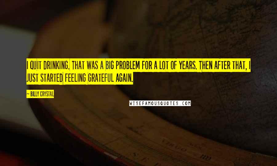 Billy Crystal Quotes: I quit drinking. That was a big problem for a lot of years. Then after that, I just started feeling grateful again.