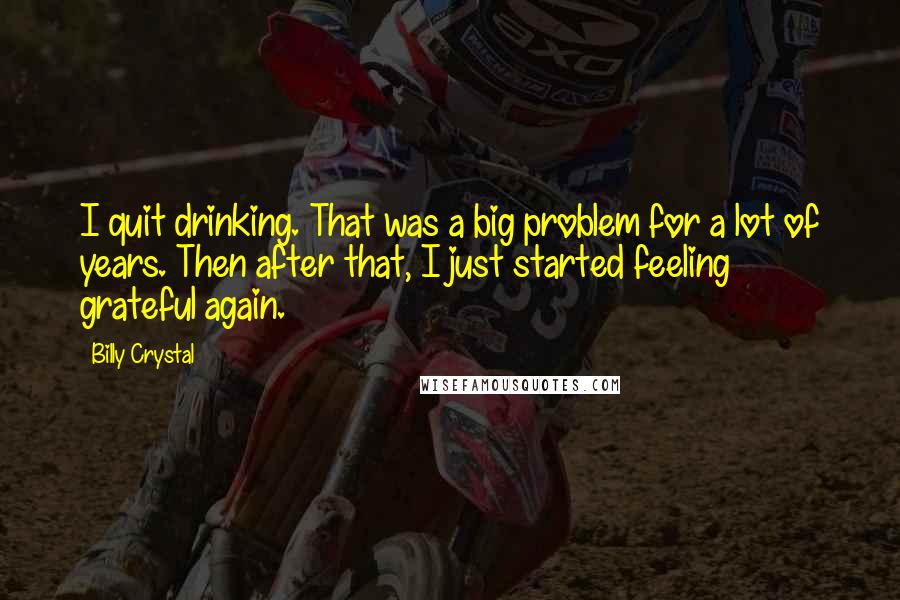 Billy Crystal Quotes: I quit drinking. That was a big problem for a lot of years. Then after that, I just started feeling grateful again.