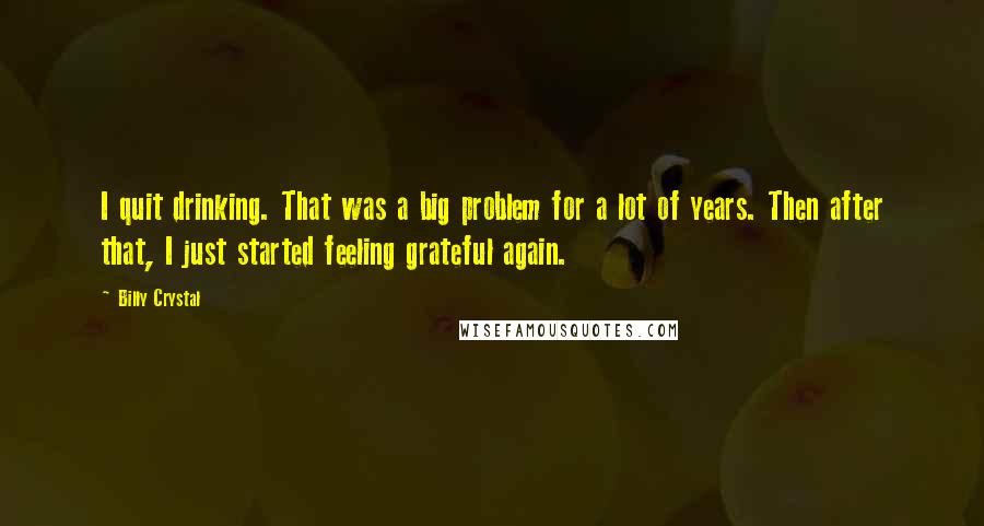 Billy Crystal Quotes: I quit drinking. That was a big problem for a lot of years. Then after that, I just started feeling grateful again.