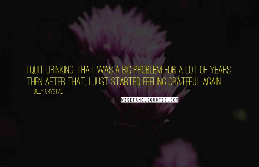 Billy Crystal Quotes: I quit drinking. That was a big problem for a lot of years. Then after that, I just started feeling grateful again.