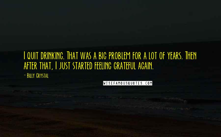 Billy Crystal Quotes: I quit drinking. That was a big problem for a lot of years. Then after that, I just started feeling grateful again.