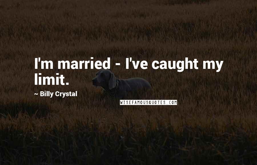 Billy Crystal Quotes: I'm married - I've caught my limit.
