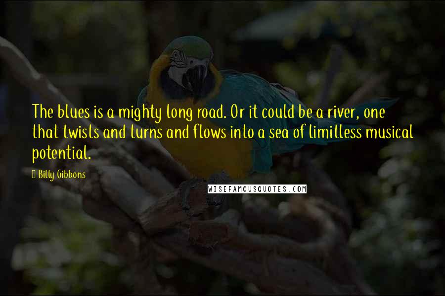 Billy Gibbons Quotes: The blues is a mighty long road. Or it could be a river, one that twists and turns and flows into a sea of limitless musical potential.