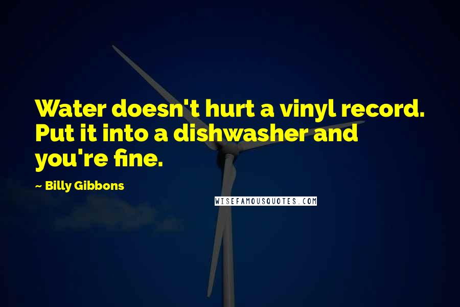 Billy Gibbons Quotes: Water doesn't hurt a vinyl record. Put it into a dishwasher and you're fine.