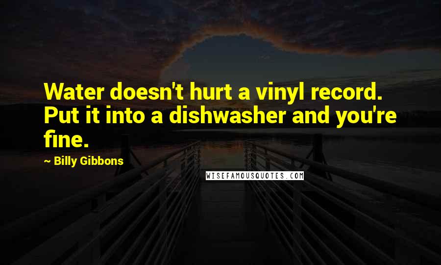 Billy Gibbons Quotes: Water doesn't hurt a vinyl record. Put it into a dishwasher and you're fine.