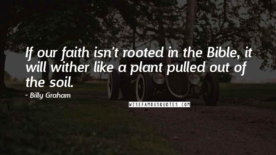 Billy Graham Quotes: If our faith isn't rooted in the Bible, it will wither like a plant pulled out of the soil.