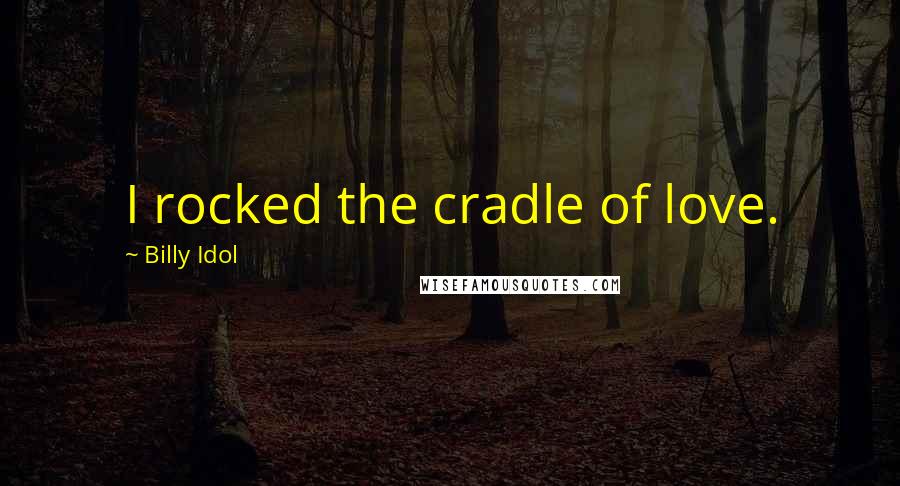 Billy Idol Quotes: I rocked the cradle of love.