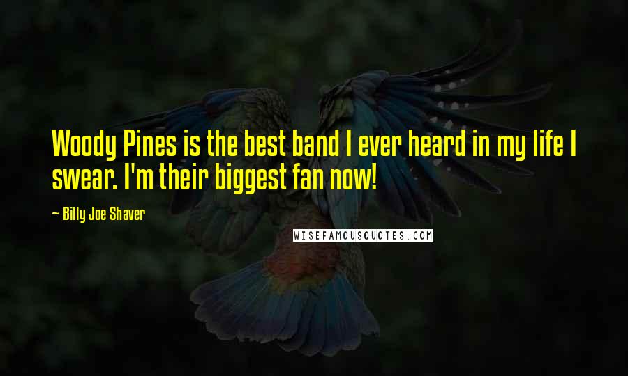 Billy Joe Shaver Quotes: Woody Pines is the best band I ever heard in my life I swear. I'm their biggest fan now!