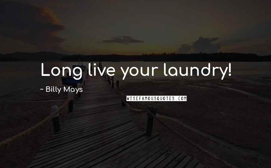 Billy Mays Quotes: Long live your laundry!