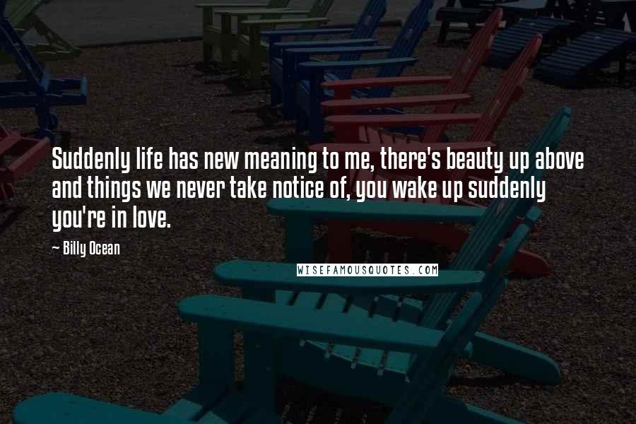 Billy Ocean Quotes: Suddenly life has new meaning to me, there's beauty up above and things we never take notice of, you wake up suddenly you're in love.