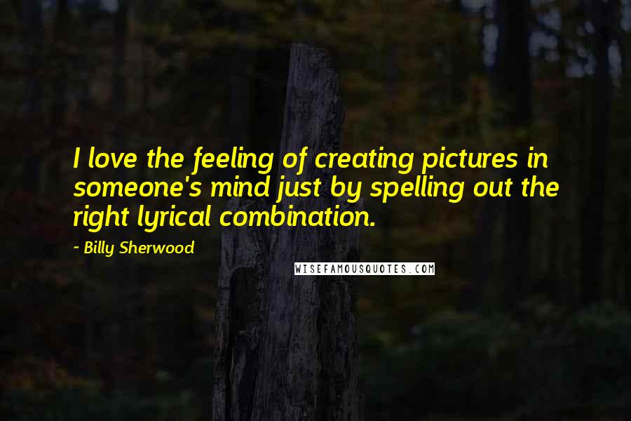 Billy Sherwood Quotes: I love the feeling of creating pictures in someone's mind just by spelling out the right lyrical combination.