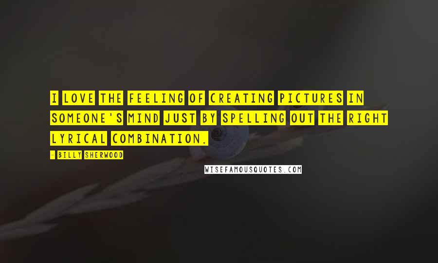 Billy Sherwood Quotes: I love the feeling of creating pictures in someone's mind just by spelling out the right lyrical combination.