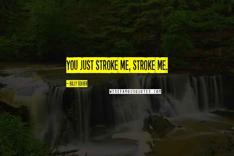 Billy Squier Quotes: You just stroke me, stroke me.