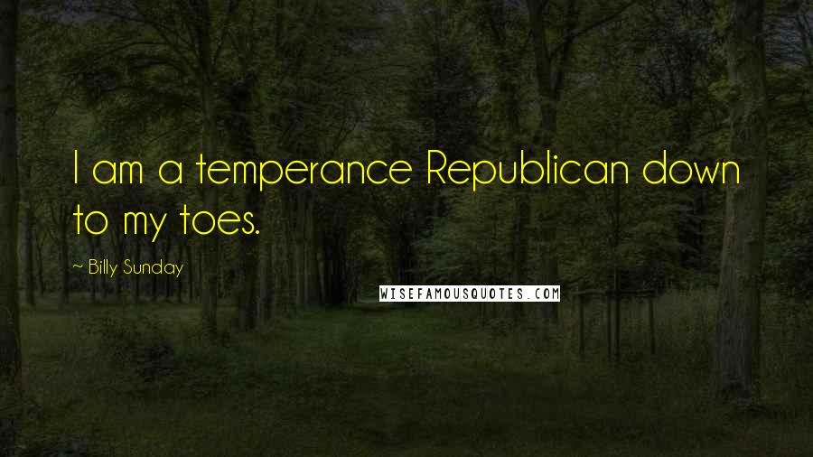 Billy Sunday Quotes: I am a temperance Republican down to my toes.