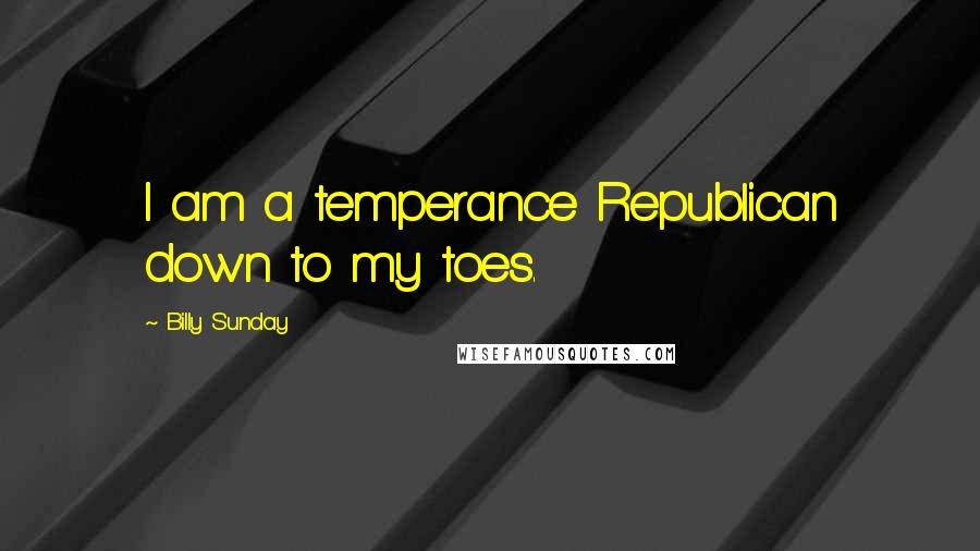 Billy Sunday Quotes: I am a temperance Republican down to my toes.